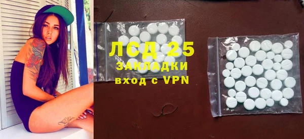 индика Тихвин