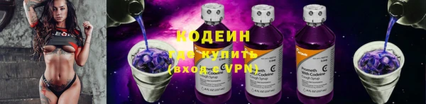 индика Тихвин