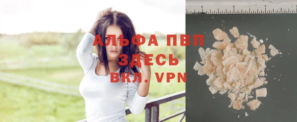 стафф Елабуга